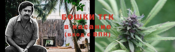 ПСИЛОЦИБИНОВЫЕ ГРИБЫ Новокубанск