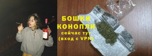 первитин Новодвинск