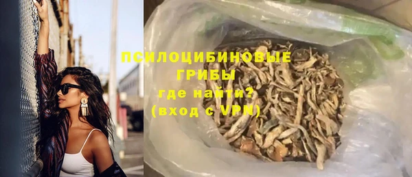 первитин Новодвинск