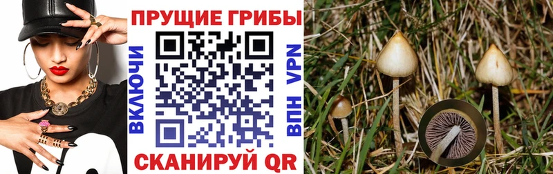 omg ссылка  Нижняя Салда  Псилоцибиновые грибы Psilocybine cubensis 